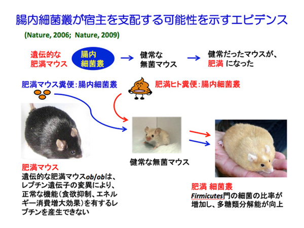 腸内細菌叢が宿主を支配する可能性を示す実験