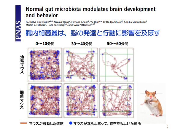 腸内細菌が初期の脳の発達に影響することの実験